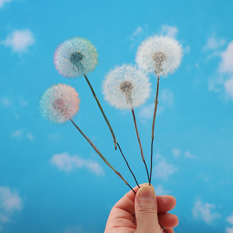Kit de Bricolage en Résine Épo - Resin Crafts Diy avis et prix