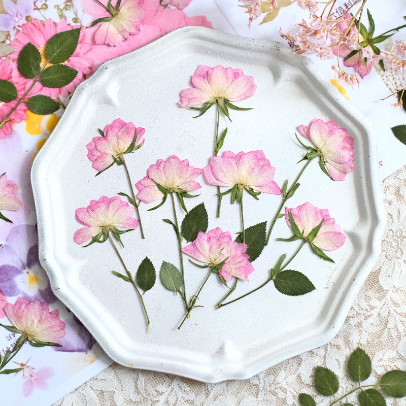 12 pièces, fleurs séchées pres - Resin Craft Ideas avis et prix