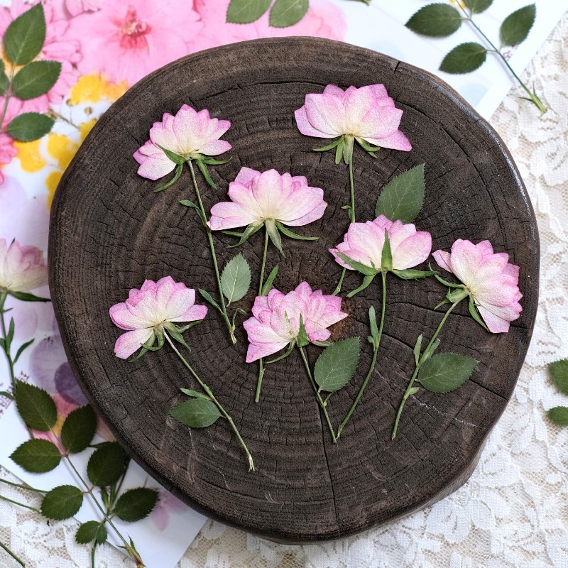 12 pièces, fleurs séchées pres - Resin Craft Ideas avis et prix